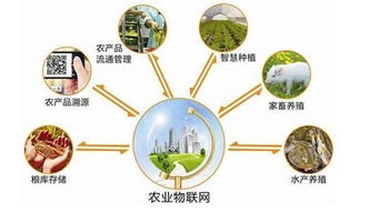 菜市場(chǎng)農(nóng)產(chǎn)品追溯系統(tǒng)定制開發(fā) 信息技術(shù)賦能食品安全新生態(tài)